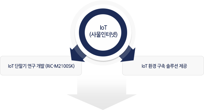 IoT(繰ͳ)-IoT ܸ  (RiC-M2100SK), IoT ȯ  ַ 